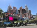 LAS_6-2021_Various (44)